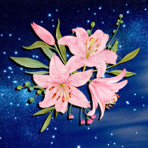 Stargazer XIV Events Stargazer XIV Events